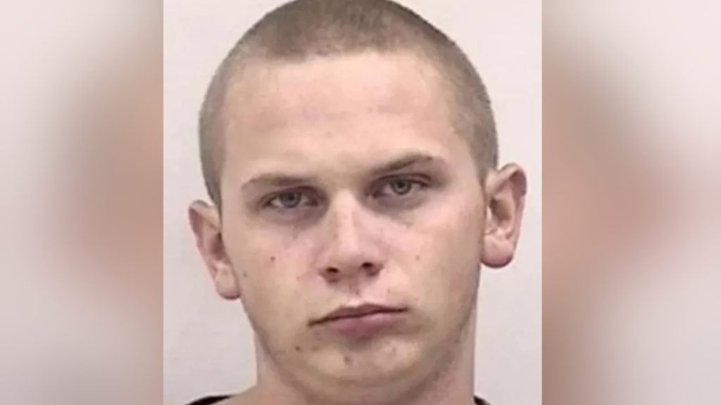 Mother pleads guilty to child neglect resulting in death