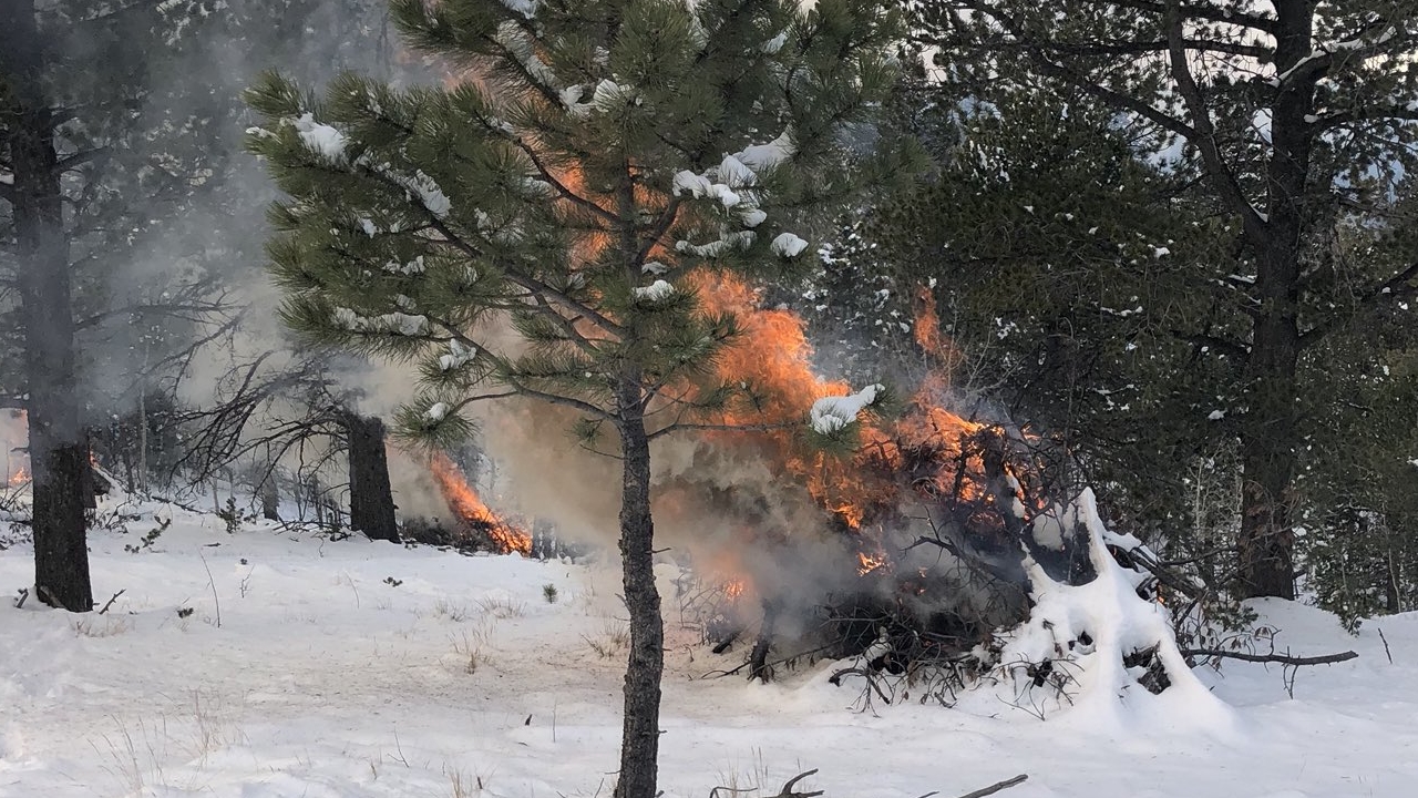Slash pile burning