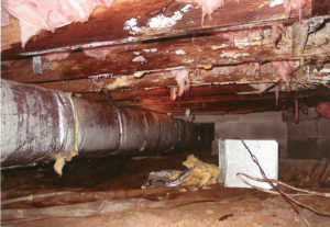 4 Crawl Space Hazards To Avoid