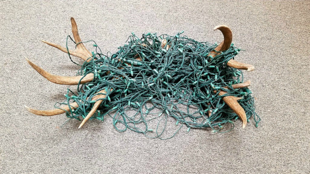 Cpw Reminds Residents To Hang Holiday Decorations With Wildlife In