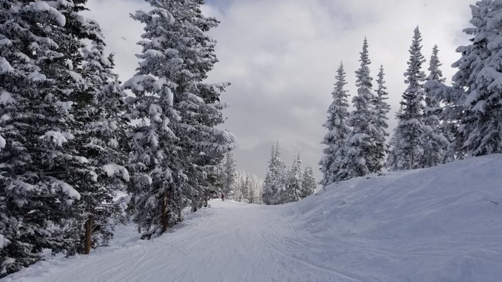 Winter Park Mary Jane Terrain