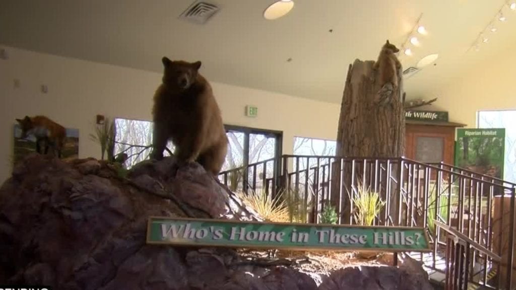 New exhibits at Bear Creek Nature Center