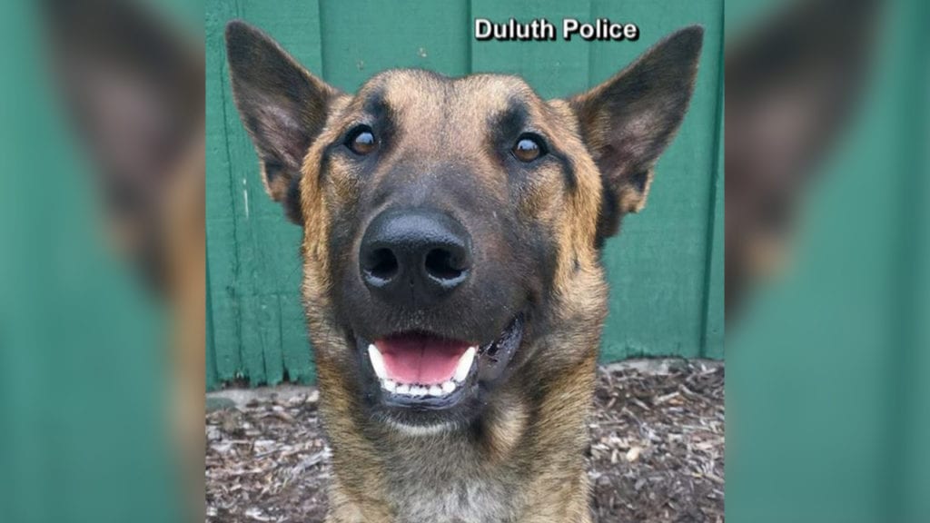 Duluth Police