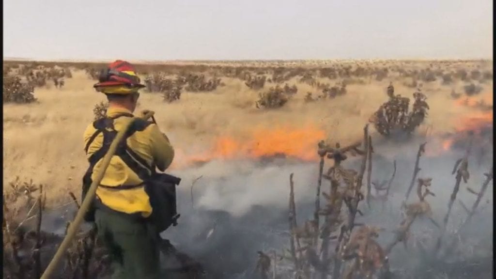 An El Paso County wildland firefighter tries to suppress flames on the 117 Fire on April 17, 2018.