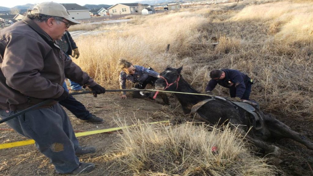 Horse stuck in mud rescued by Fremont County first responders