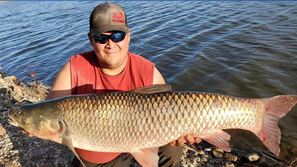 Southern Colorado man reels in giant carp