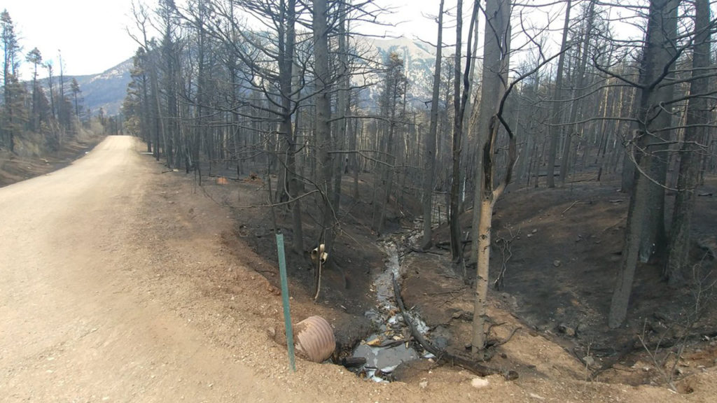 Spring Fire burn scar