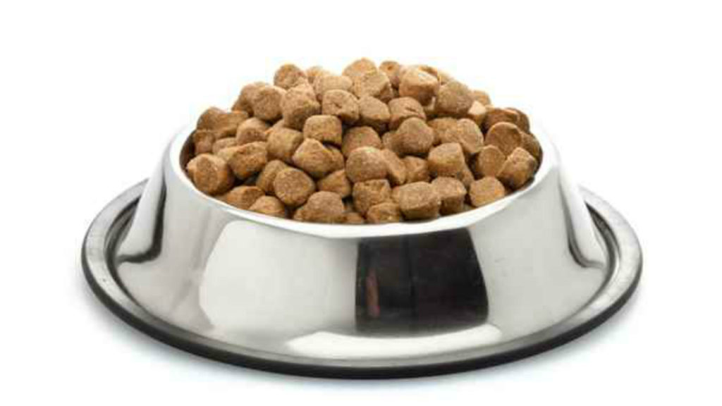 FDA identifies dog food brands associated with canine heart disease